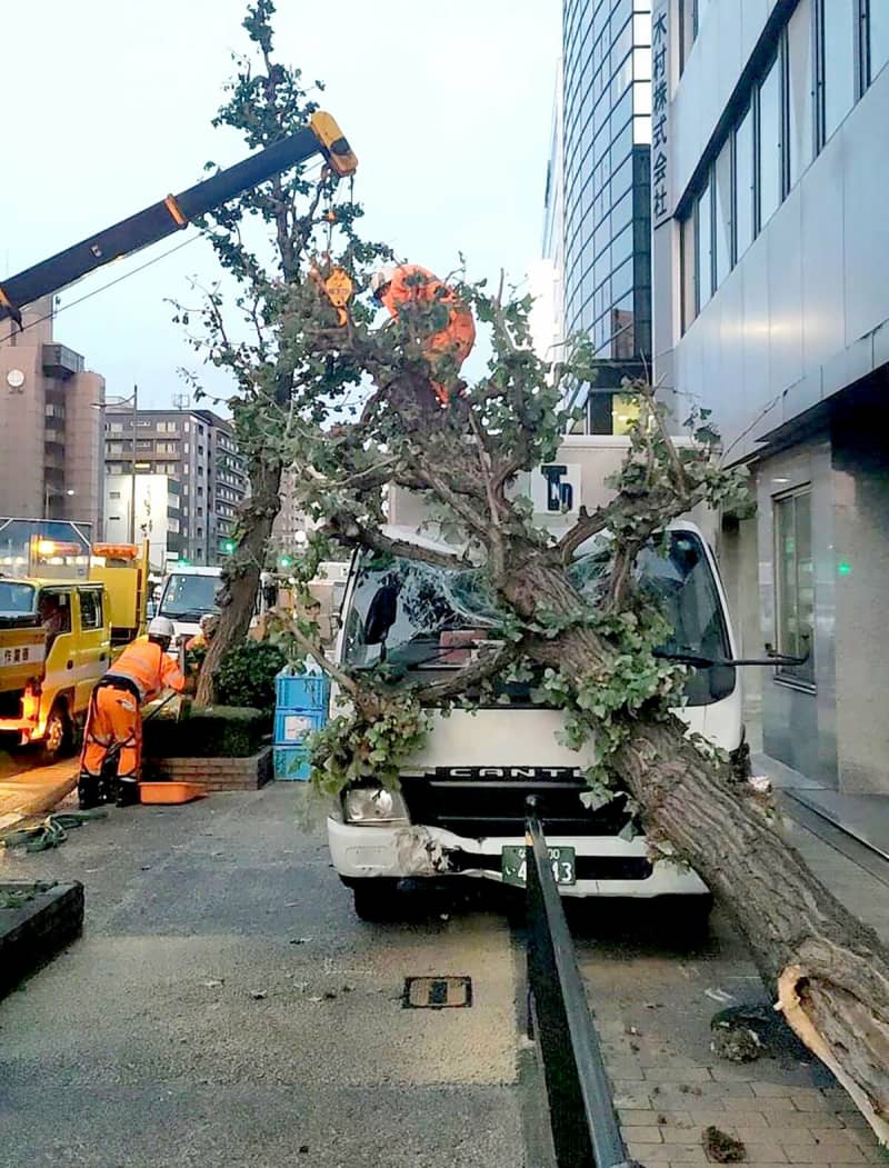 ダンプカーがトラックに追突　街路樹倒れトラックのフロントガラス割れる