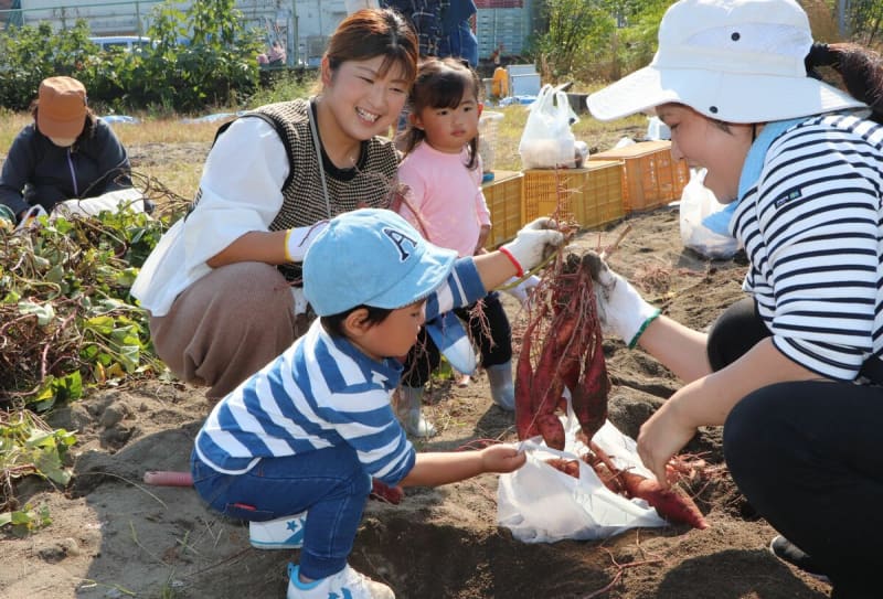 秋晴れの下、畑で焼き芋頬張る　特産「寺田いも」味わう　家族で思い出づくり