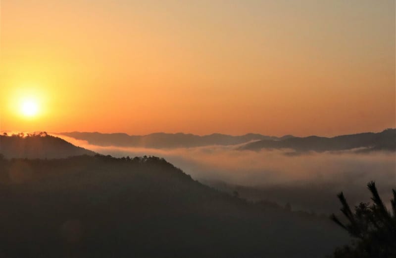 京都の秋の風物詩「丹波霧」連日出現　雲海が幻想的な夜明け演出