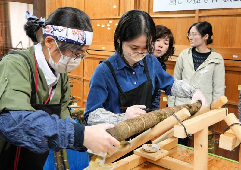 「丹波漆」の魅力に触れる　京都・福知山で漆液採取や植樹を体験