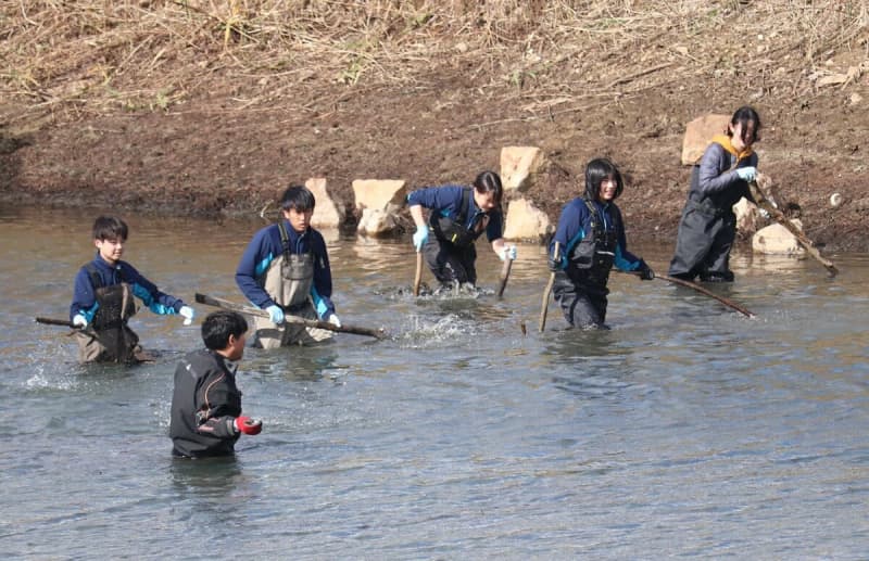 ため池の水、抜いてみた　以前は大量の外来魚を駆除、今回は？