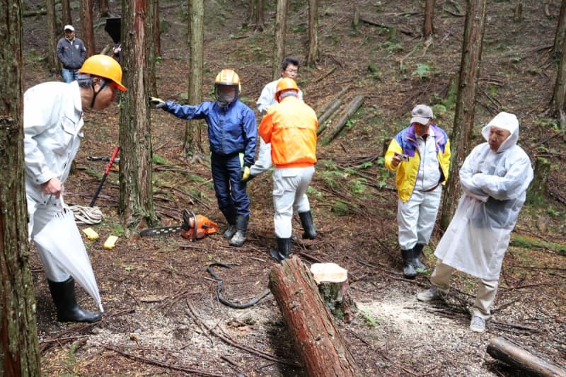森林伐採の事故防止へ「適正な作業」プロが実演　京都・亀岡でチェーンソー講習会