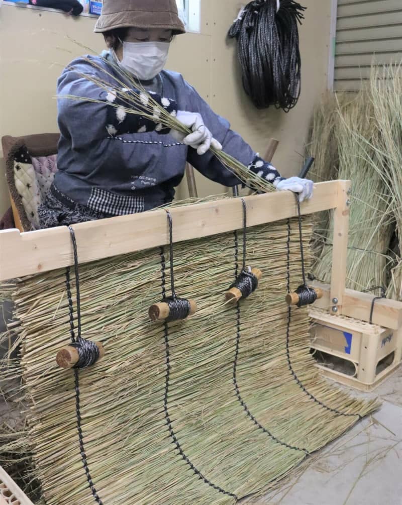 600時間費やす冬の仕事がおいしい茶生む　京都府城陽市でわらを材料に伝統の「こも」編み