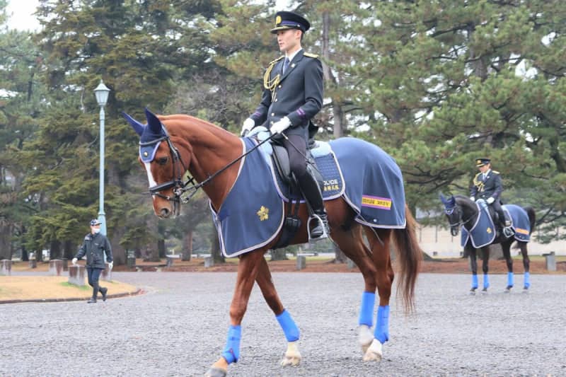 引退競走馬が警察に「くら替え」　30周年の京都「平安騎馬隊」、その役割とは