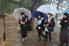日本三景「天橋立」で地元小学生が観光ガイドに挑戦　クイズで魅力伝える