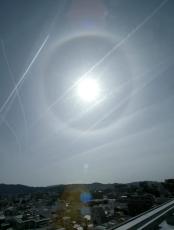 春がすみの空に光彩放つ「日暈」　飛行機雲と描く造形