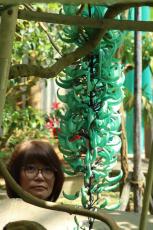 宝石のような青緑、形はまるで「勾玉」？　滋賀の植物公園でヒスイカズラ見ごろ
