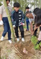タケノコ採りは小学校内の竹林で　鉄刃農具使いこなし掘り起こす　児童「切る感覚が気持ちよい」