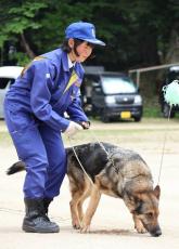 犯人や不明者捜し、頑張るワン！　シェパードやラブラドールなど21匹に警察犬嘱託　滋賀県警