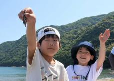 「海を渡るチョウはすーっと飛ぶ」　観察会で子どもたちが捕獲、空に放つ　京都府舞鶴市