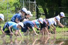 「びちゃびちゃ気持ちいい」雄大な自然満喫、街中の子どもたちが田植え体験　京都市・大原