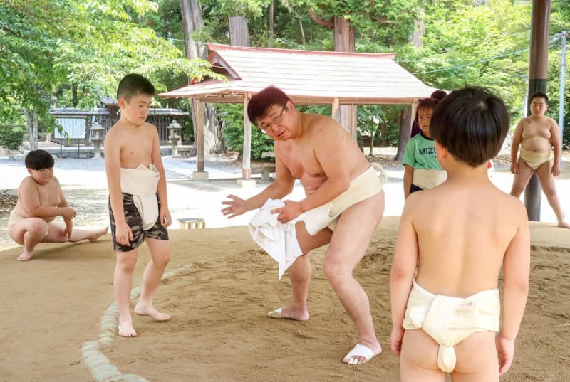 「わんぱく力士来たれ」部員不在続く相撲クラブ　魅力伝える体験会開催へ