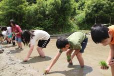 ぬかるむ泥の感触楽しみ田植え　京都・丹波支援学校生、苗一つ一つ丁寧に