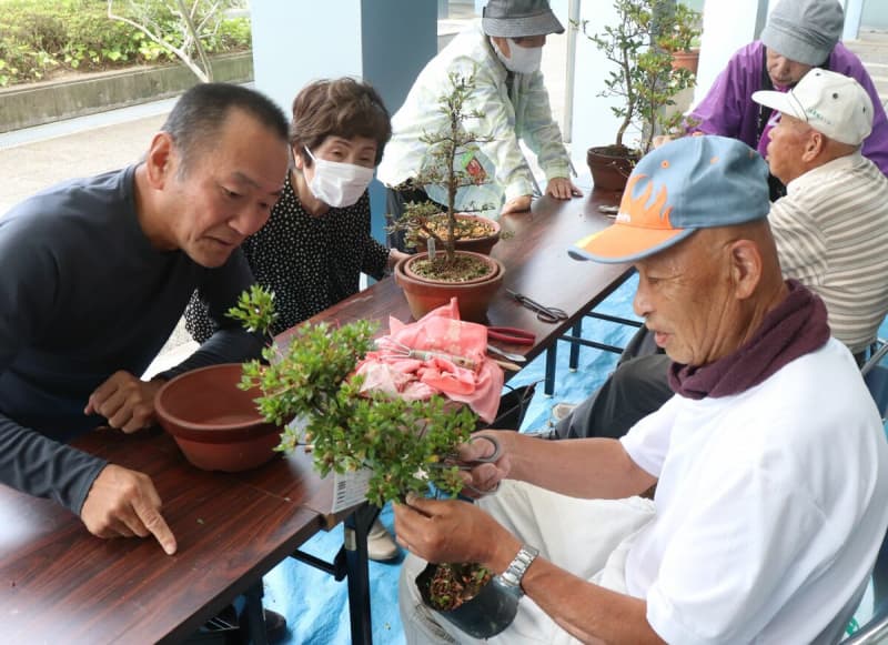 京都・亀岡で市の花「ツツジ」の育て方講習会　ベテラン愛好家が剪定や水やりのコツ伝授