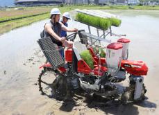 農薬や化学肥料を使わない有機酒米、雑草対策にポット苗　親子連れらが田植え体験会