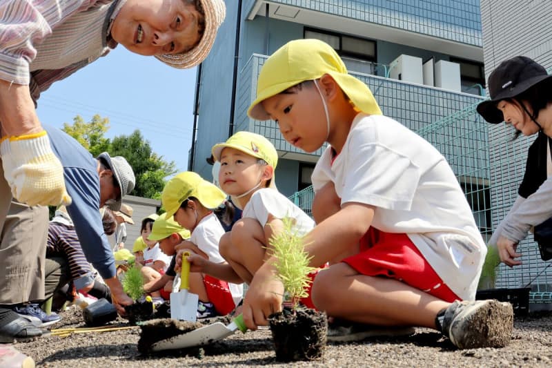 植物いっぱいの公園になりますように　京都府南丹市、園児とお年寄りが一緒に苗植え