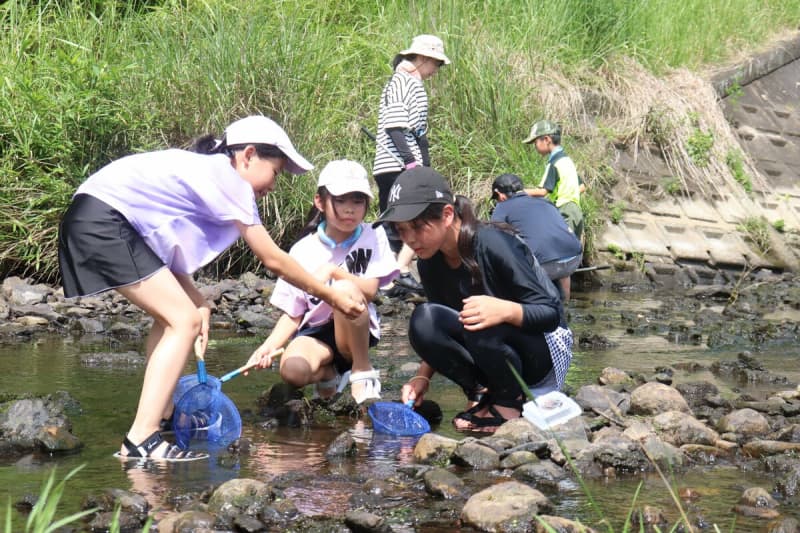 「ムギツクが暴れてびっくり」　京都・南丹の川で親子が夢中に