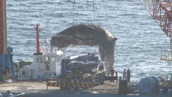 打ち上げられた大型クジラの死骸　クレーン船で約3キロ運び土へ…見守る人たちも