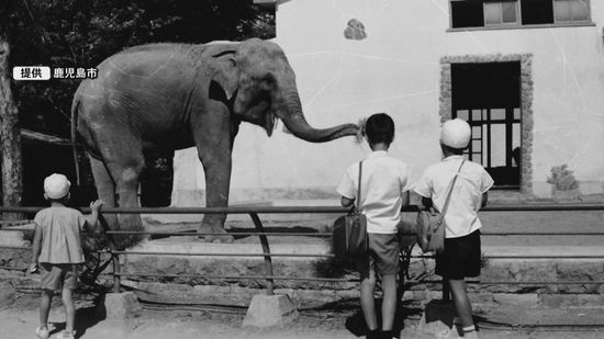 戦時中の悲しい記憶も…モノレールや劇場まであった「鴨池動物園」当時の飼育員が語る驚きの秘話