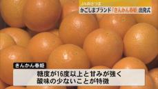 甘い！生で皮ごと食べられる！｢きんかん春姫｣出発式　かごしまブランド指定20年