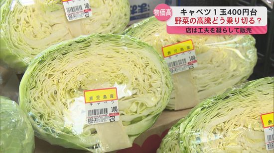 キャベツは平年の3.3倍　高騰続く野菜価格の現状…どう乗り切る？買いやすい野菜は？