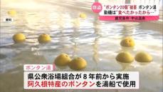 「食べたかったから食べた」呆れる動機　公衆浴場のボンタン湯で“ボンタン20個”が盗難、食べられる被害