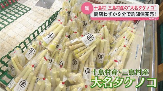 シャキシャキとした食感 十島村・三島村産の旬な“大名タケノコ” 開店