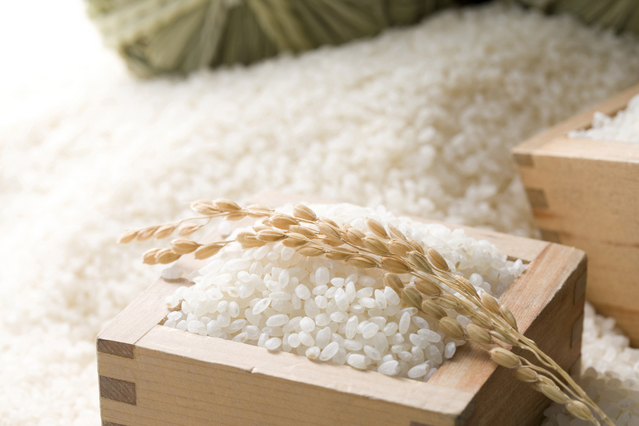 専門家直伝！｢暑さ･湿気からお米を守る｣方法＆復活術まとめ
