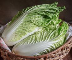 定番の葉野菜をパワーアップ！美容効果を高める食材＆調理法　