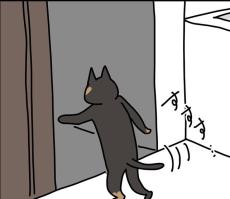 猫がなぜか人間用トイレへ　衝撃の光景に飼い主絶叫！「うちもある」「ホラーですね」