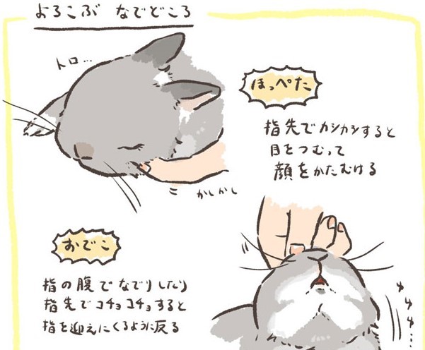 ゆびさしうさちゃん ぴょっこりユキウサギST ユキちゃん/Pyokkori Yukiusagi ST Yuki-chan