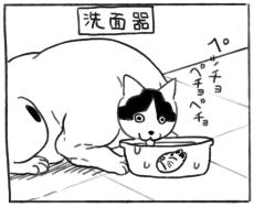 【漫画】マグカップをペチョペチョ！　猫のいろんな水飲みシーンに「かわいい」「うちもやる」【作者インタビュー】