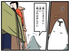【漫画】仕事中の飼い主の肩に乗りたい！　インコが取ったまさかの行動に衝撃！【作者インタビュー】