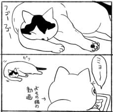 【漫画】眠りから目覚めた愛猫、顔の「寝跡」が面白すぎ！　でも本人は全く気にせず？【作者インタビュー】