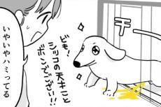 【漫画】オシッコに悪戦苦闘！　ついはみ出てしまう愛犬に「次はそっちか」【作者インタビュー】