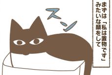 【漫画】お昼寝から目覚めて見知らぬ人を発見した愛猫　次にとった行動に「想像して笑った」【作者インタビュー】