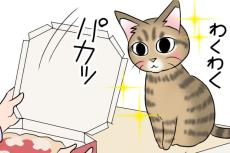【漫画】宅配ピザをワクワクしながら待つ愛猫　「おいしいのがない」と気付いた表情に注目！【作者インタビュー】