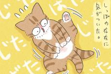 【漫画】しっぽの存在に気付いた赤ちゃん猫　最終形態の表情が「怖すぎ（笑）」【作者インタビュー】