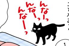 【漫画】夜中も元気な愛猫に「勘弁して！」　でも朝になるとイライラが吹っ飛び？「ズルいっ！」【作者インタビュー】
