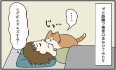 【漫画】毎朝の「目覚まし」がかわいすぎる！　バリエーション豊かな愛猫の起こし方とは【作者インタビュー】