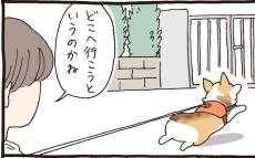 【漫画】散歩中、愛犬コーギーが「建物の入口」に行きたがる理由は？「あるある」「かわいい！」【作者インタビュー】