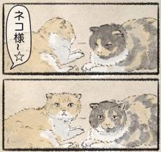 【漫画】「ネコ様～」の声で起こされた猫　怒りもあらわな心の声に「ごめんなさい！」【作者インタビュー】