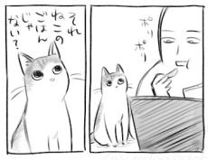 【漫画】柿ピーを食べていると寄って来た子猫　容赦ない仕打ちに「好き」「分かる」