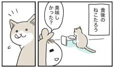 【漫画】食後の愛猫に話しかけてみた　お返事に約5万人が「かわいいんだけど！？」【作者インタビュー】