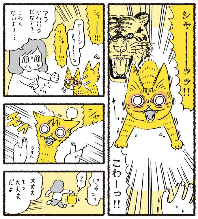 漫画 威嚇が怖い子猫をキズだらけになりながら保護 やって来た幸せにホロリ 記事詳細 Infoseekニュース