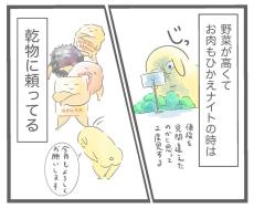 【漫画】野菜の値上がりで”乾物”が大活躍！　「おいしい～」しかしワナが？【作者インタビュー】