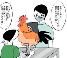 【漫画】ペットの名古屋コーチンの食事に驚き！　獣医さんもため息「人間より食費高い」【作者インタビュー】