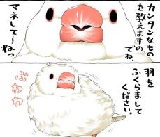 【漫画】「怒りは外に出さず羽に…」文鳥のアンガーマネジメントがかわいすぎる！【作者インタビュー】