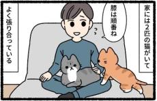 【漫画】猫2匹が飼い主をめぐって張り合い、夜食まで？「なんてかわいい」「うれしいけど胃が」【作者インタビュー】