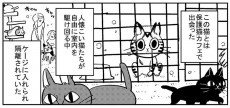 【漫画】虐待され、3本足になった保護猫　「人が好き」寂しがりな姿に涙が出そう…